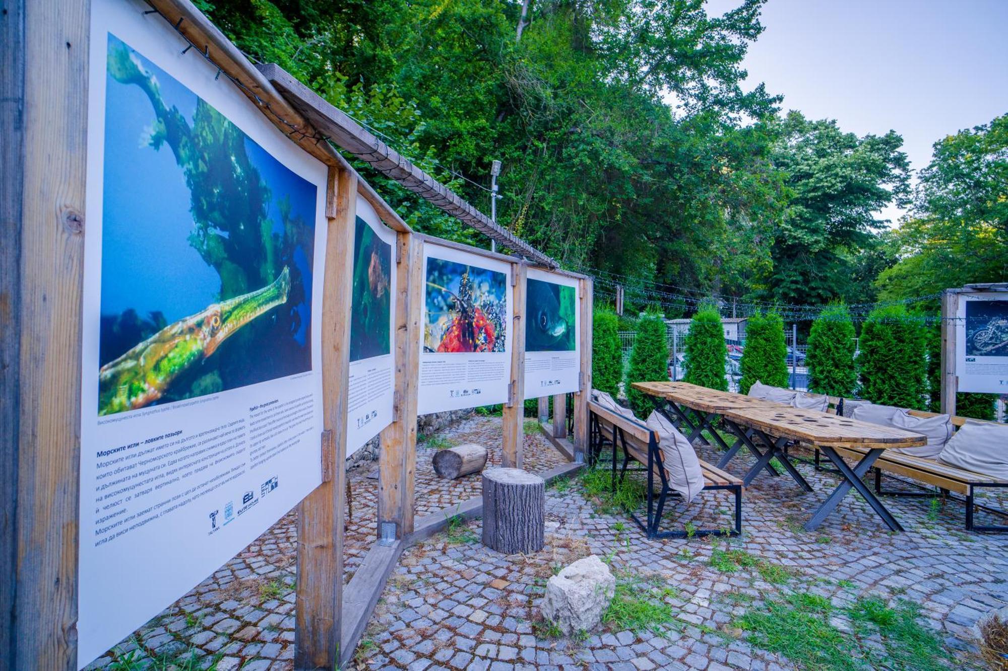 Ferienhaus къщички синьо лято, черноморец - - Blue Summer